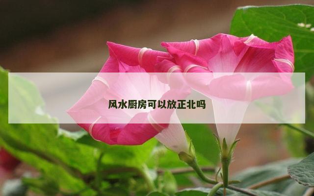 风水厨房可以放正北吗