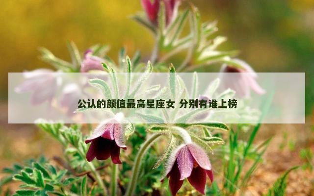 公认的颜值最高星座女 分别有谁上榜