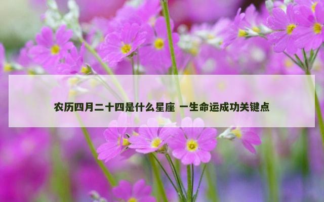 农历四月二十四是什么星座 一生命运成功关键点