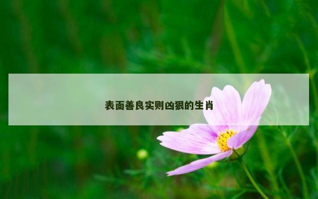 表面善良实则凶狠的生肖