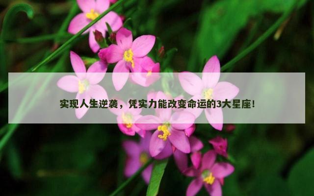 实现人生逆袭，凭实力能改变命运的3大星座！