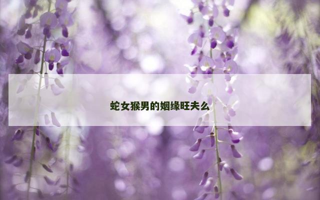 蛇女猴男的姻缘旺夫么