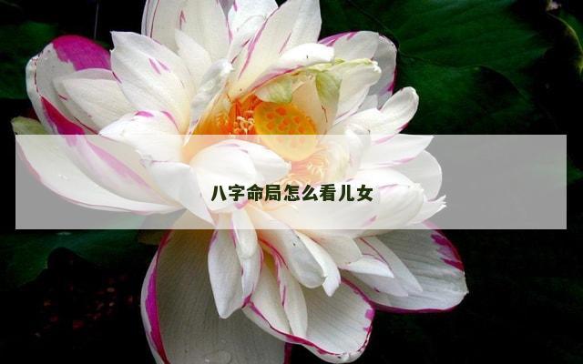 八字命局怎么看儿女