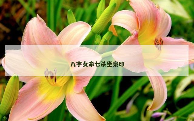 八字女命七杀坐枭印
