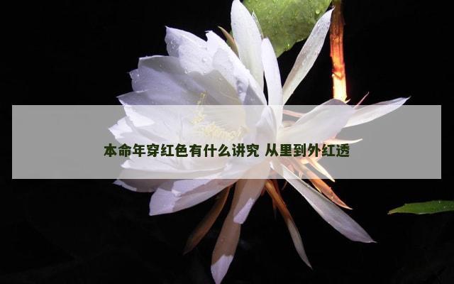 本命年穿红色有什么讲究 从里到外红透