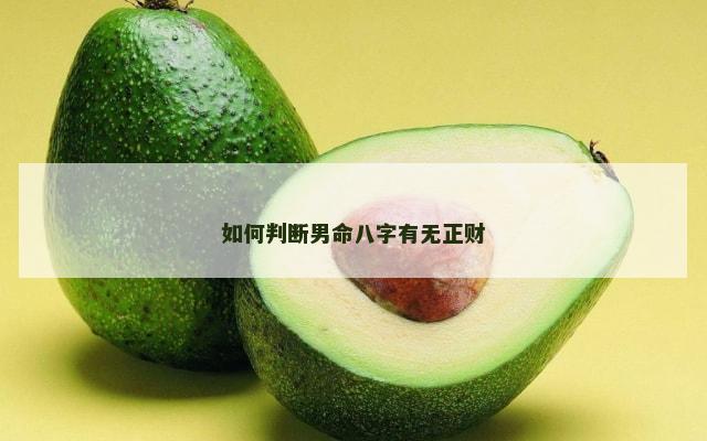 如何判断男命八字有无正财