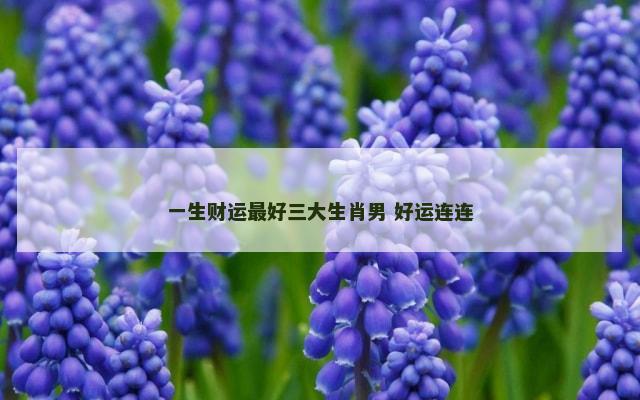 一生财运最好三大生肖男 好运连连