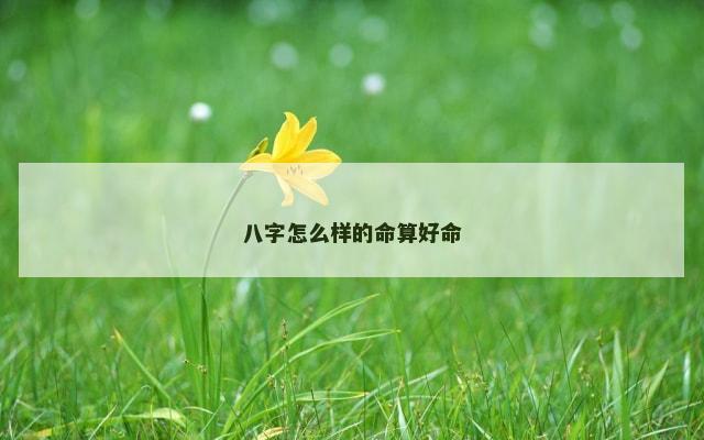 八字怎么样的命算好命