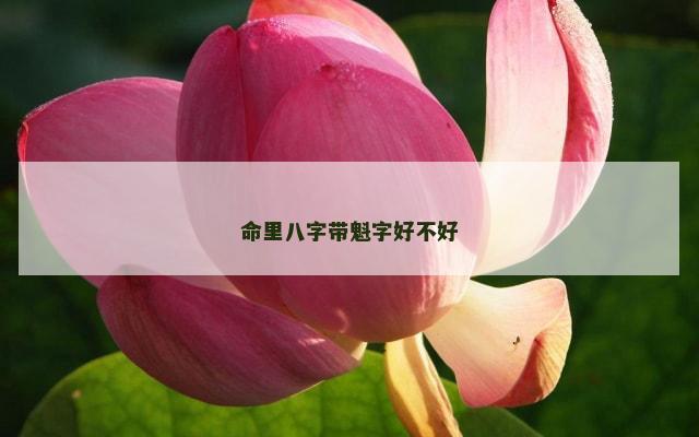 命里八字带魁字好不好