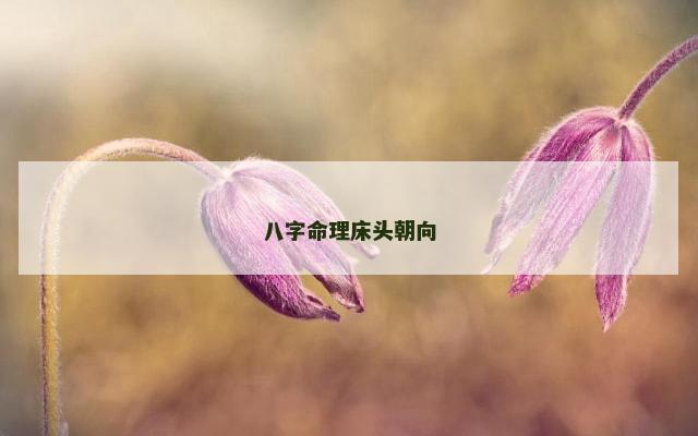 八字命理床头朝向