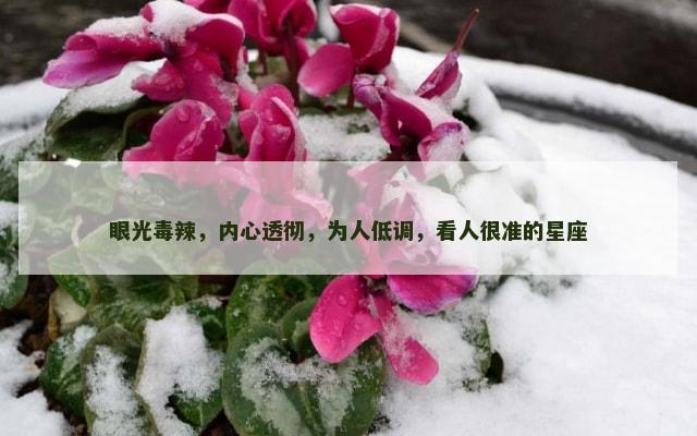 眼光毒辣，内心透彻，为人低调，看人很准的星座