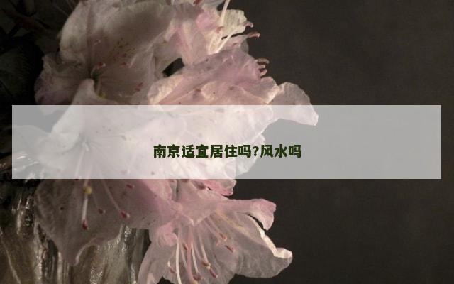 南京适宜居住吗?风水吗