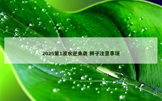 2025第1波水逆来袭 狮子注意事项