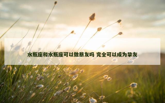水瓶座和水瓶座可以做朋友吗 完全可以成为挚友