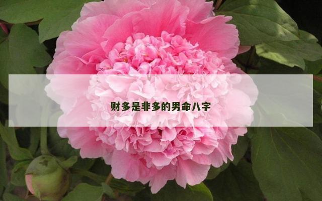 财多是非多的男命八字