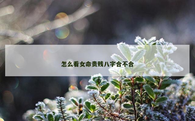 怎么看女命贵贱八字合不合