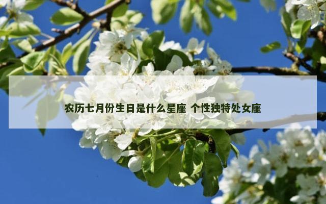 农历七月份生日是什么星座 个性独特处女座