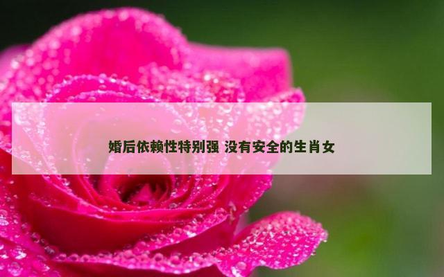 婚后依赖性特别强 没有安全的生肖女