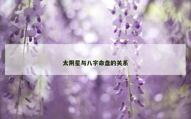 太阴星与八字命盘的关系