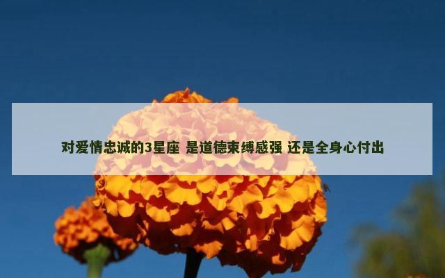 对爱情忠诚的3星座 是道德束缚感强 还是全身心付出