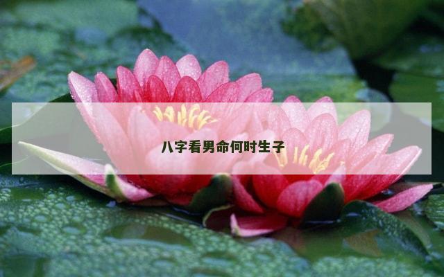 八字看男命何时生子