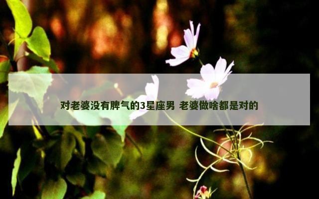 对老婆没有脾气的3星座男 老婆做啥都是对的