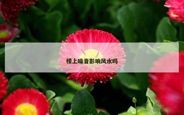 楼上噪音影响风水吗