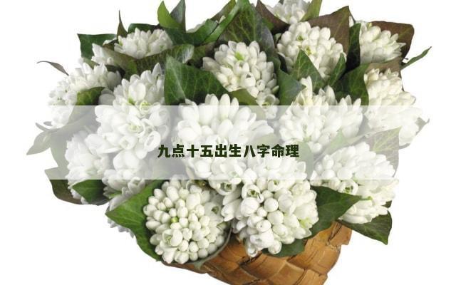 九点十五出生八字命理