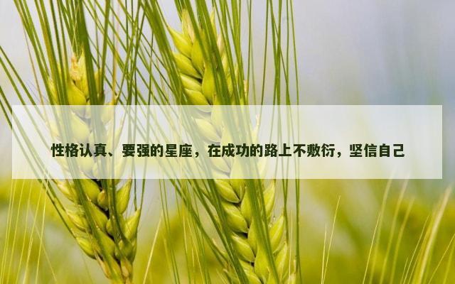 性格认真、要强的星座，在成功的路上不敷衍，坚信自己