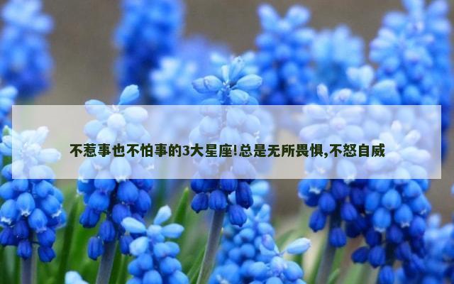 不惹事也不怕事的3大星座!总是无所畏惧,不怒自威