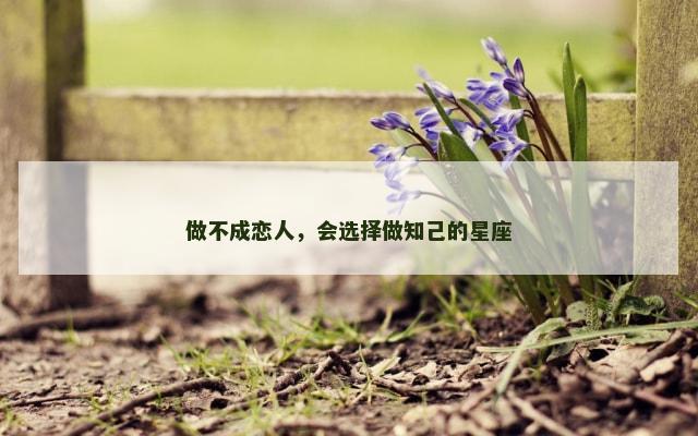 做不成恋人，会选择做知己的星座