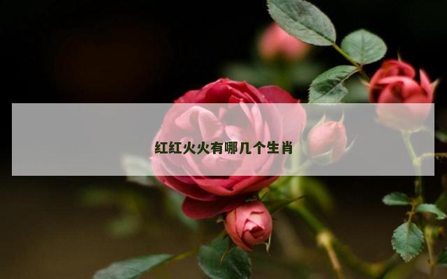 红红火火有哪几个生肖