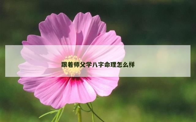 跟着师父学八字命理怎么样