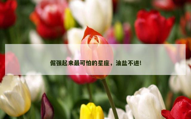 倔强起来最可怕的星座，油盐不进!