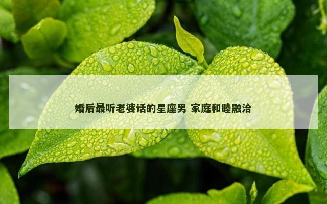 婚后最听老婆话的星座男 家庭和睦融洽