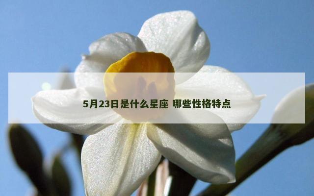 5月23日是什么星座 哪些性格特点