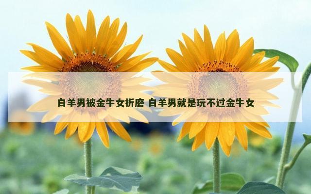 白羊男被金牛女折磨 白羊男就是玩不过金牛女