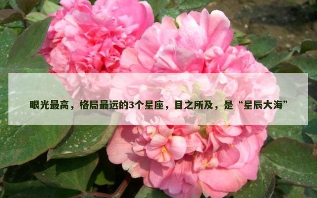 眼光最高，格局最远的3个星座，目之所及，是“星辰大海”