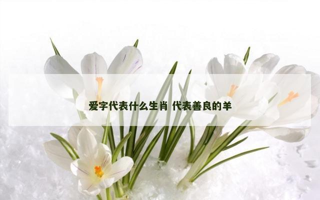 爱字代表什么生肖 代表善良的羊