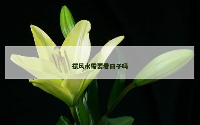 摆风水需要看日子吗