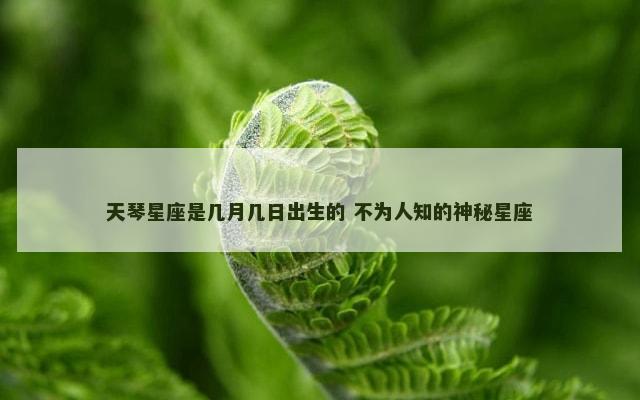 天琴星座是几月几日出生的 不为人知的神秘星座