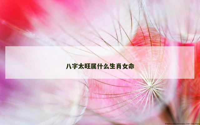 八字太旺属什么生肖女命