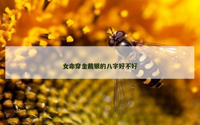 女命穿金戴银的八字好不好