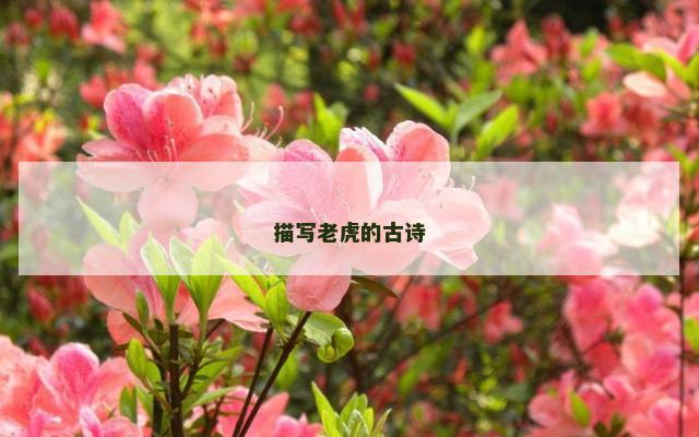 描写老虎的古诗