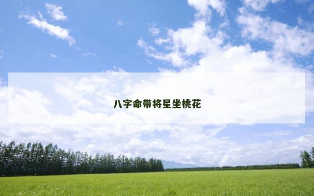 八字命带将星坐桃花