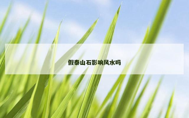 假泰山石影响风水吗
