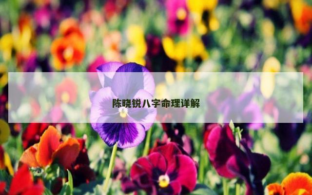 陈晓锐八字命理详解