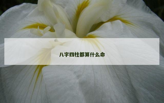 八字四柱都算什么命
