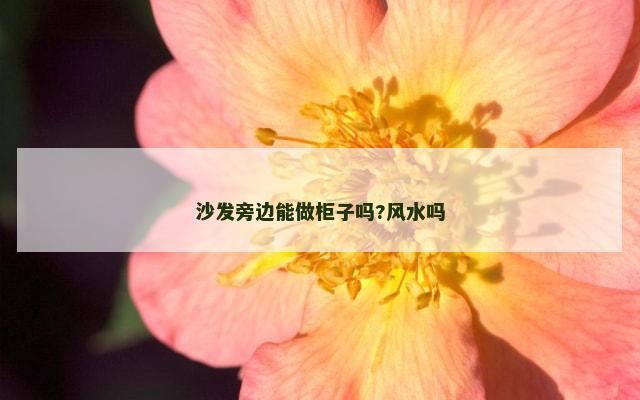 沙发旁边能做柜子吗?风水吗
