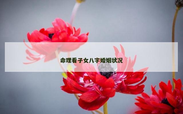 命理看子女八字婚姻状况